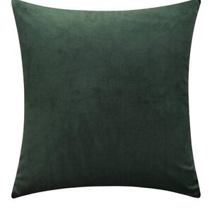 Amazon Dark Green Accent Pillows - set of 2